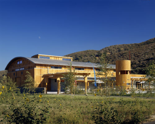 The Painted Turtle Camp